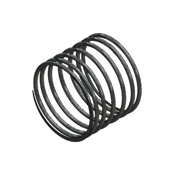 Valve Spring SS 2 mm L=100 mm Standard