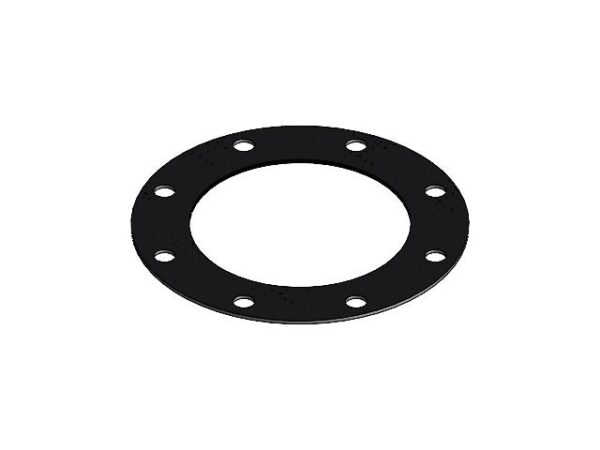 Gasket DN200 8 inch