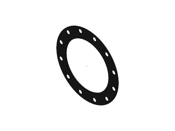 Gasket DN250 10 Inch