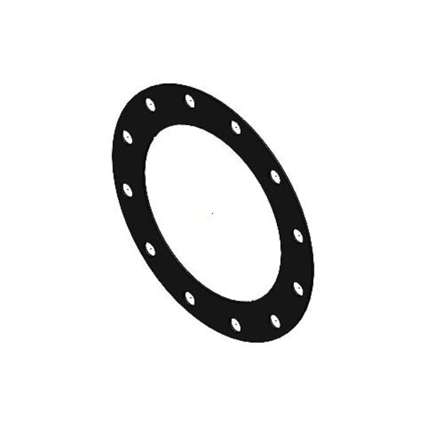 Gasket DN250 10 Inch